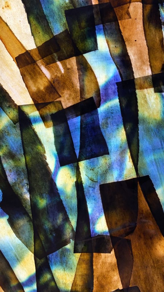 Loumi Le Floc'h, Precious Peels — backlit detail of dyed eggplant-skin surface in blue, green, and amber tones