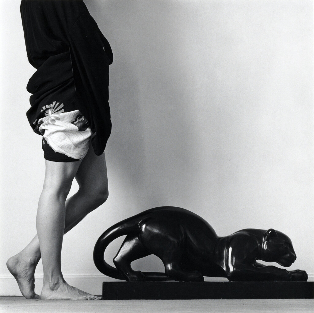Robert Mapplethorpe photograph for Un/known Pleasures at Galeria Senda, Barcelona, 2026